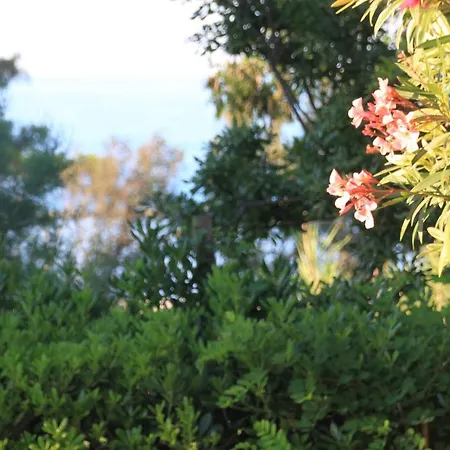 La Collinetta Sul Mare Torino di Sangro