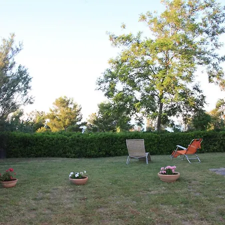 La Collinetta Sul Mare *