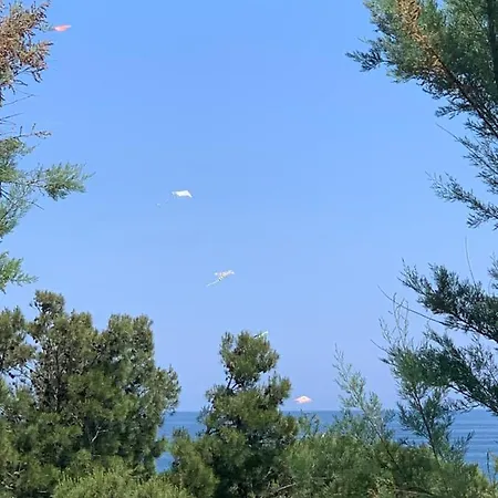 La Collinetta Sul Mare