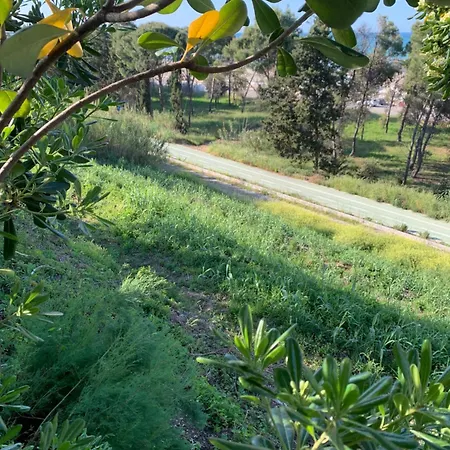La Collinetta Sul Mare Vakantiehuis *
