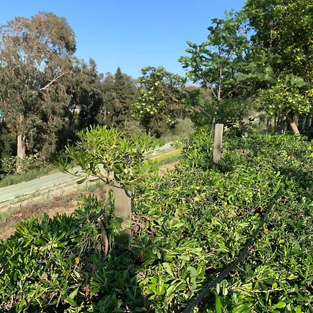 La Collinetta Sul Mare Vakantiehuis *