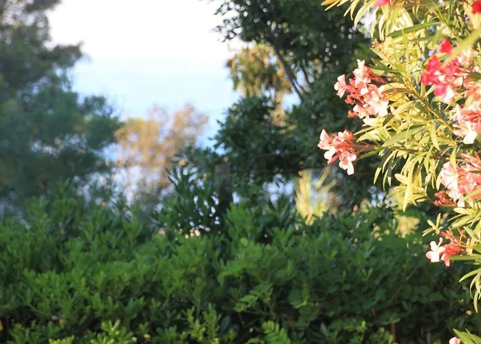 La Collinetta Sul Mare Torino di Sangro