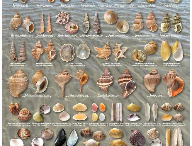 Дом отдыха La Collinetta Sul Mare *