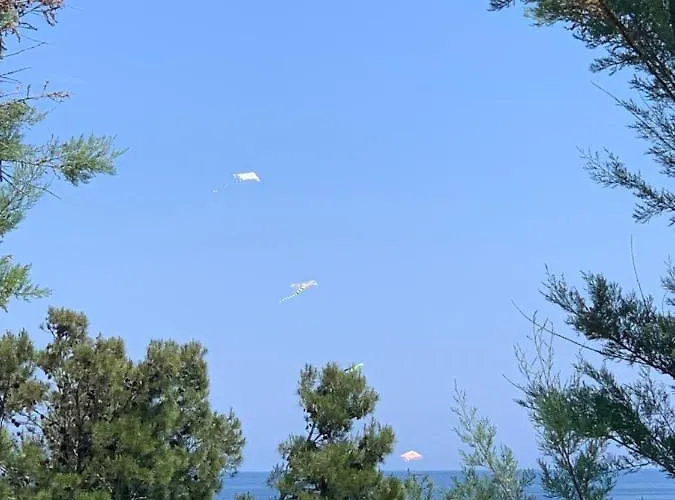 La Collinetta Sul Mare