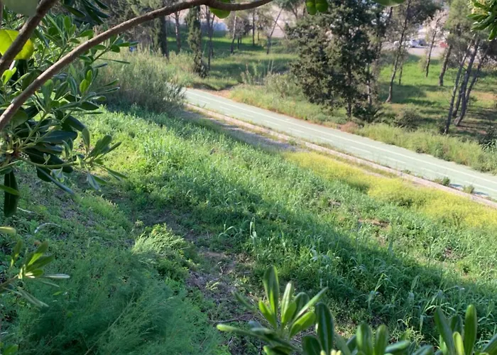 La Collinetta Sul Mare Casa de Férias *