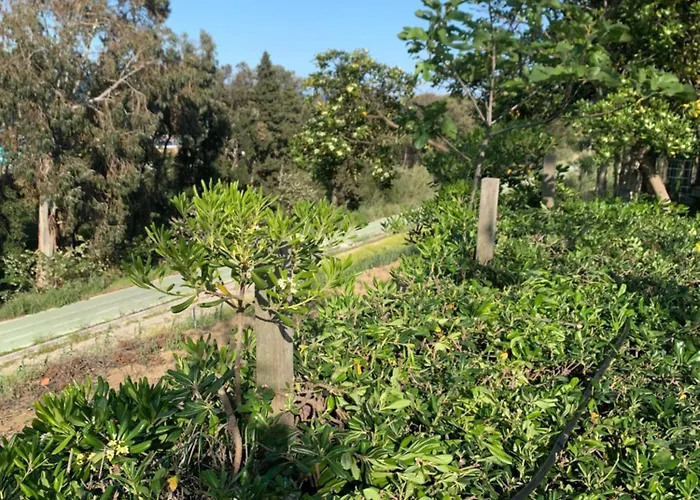 La Collinetta Sul Mare Casa de Férias *